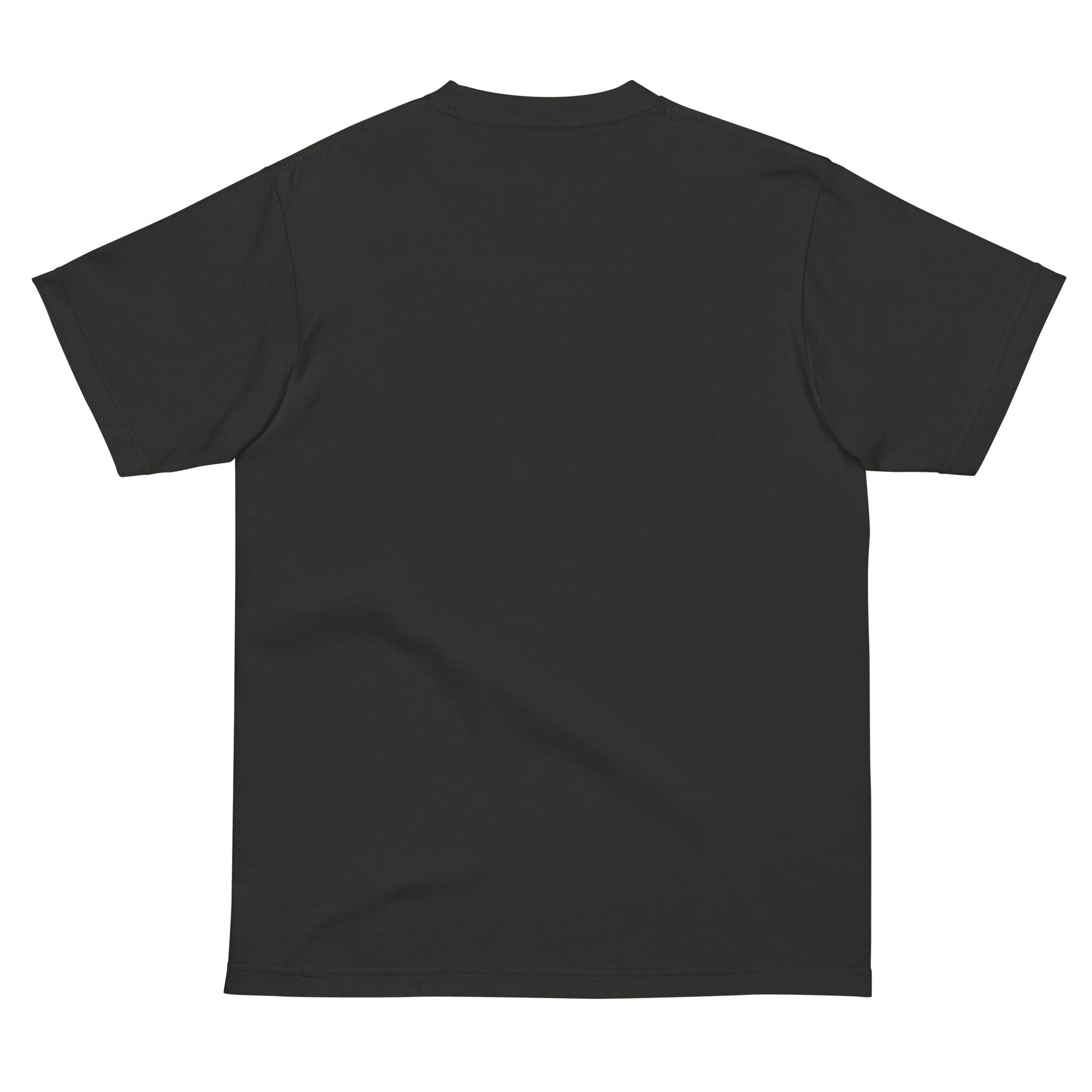 Back view of PearWorld smoke black unisex t-shirt with clean minimal design for streetwear fans
